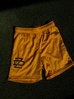 ZD mesh Shorts